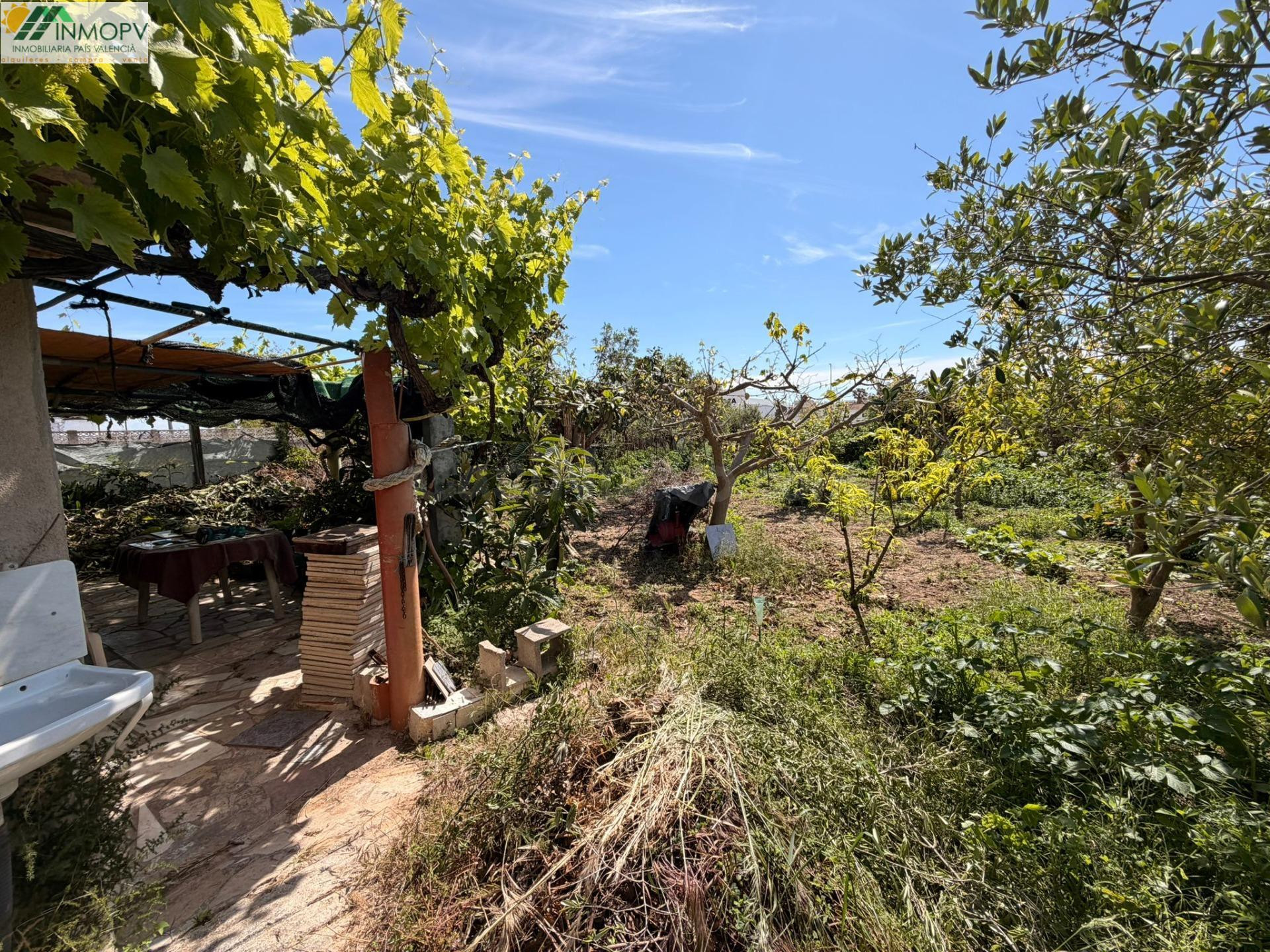 FINCA RÚSTICA VALLADA DE 560 M2 CON CASA LEGALIZADA A 1 KM DE LA PLAYA EN VINARÒS