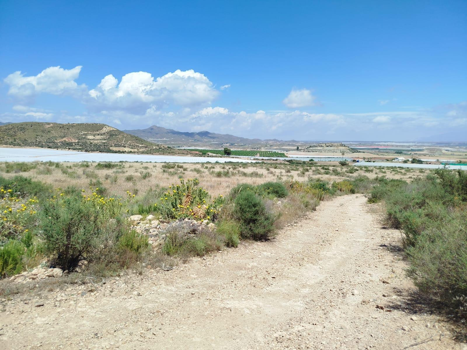 Terreno rural en venta - Leiva