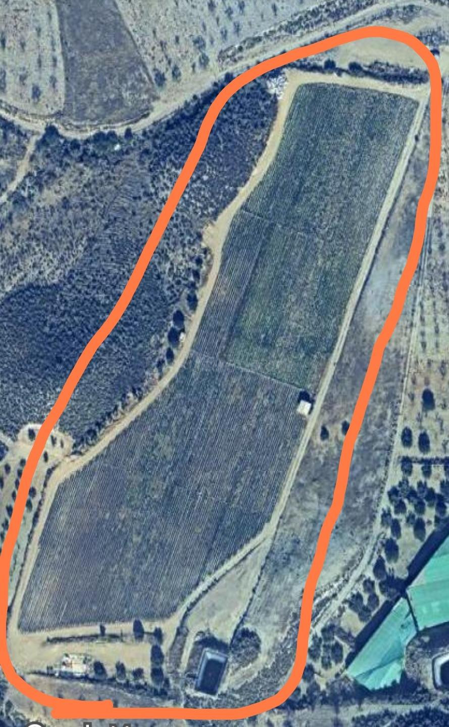 LA ATALAYA- MAZARRON  TERRENO SECANO  23000 MTS