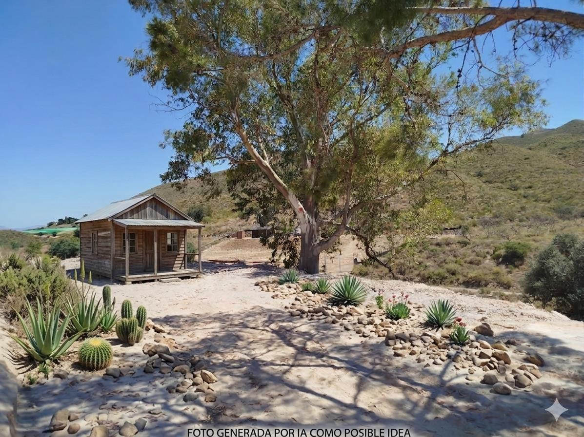 Terreno rústico de 6.500 m2 en La Atalaya (Mazarrón) – Gran sombra natural y vistas
