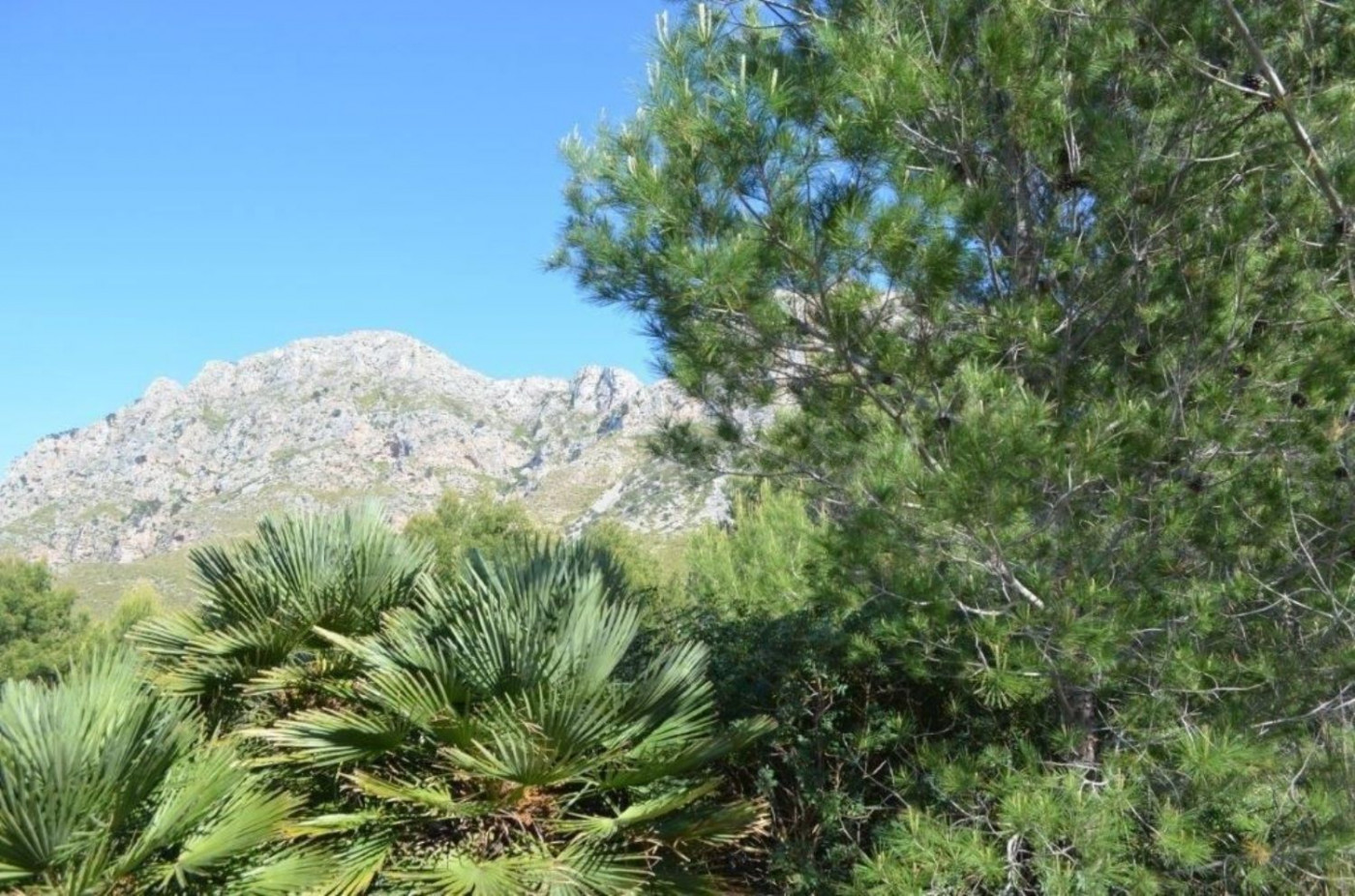 Terreno rural 500m² en venta - Artà