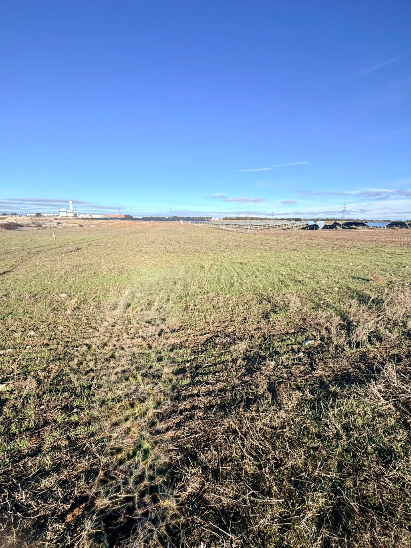 Terreno rural en venta - Torija