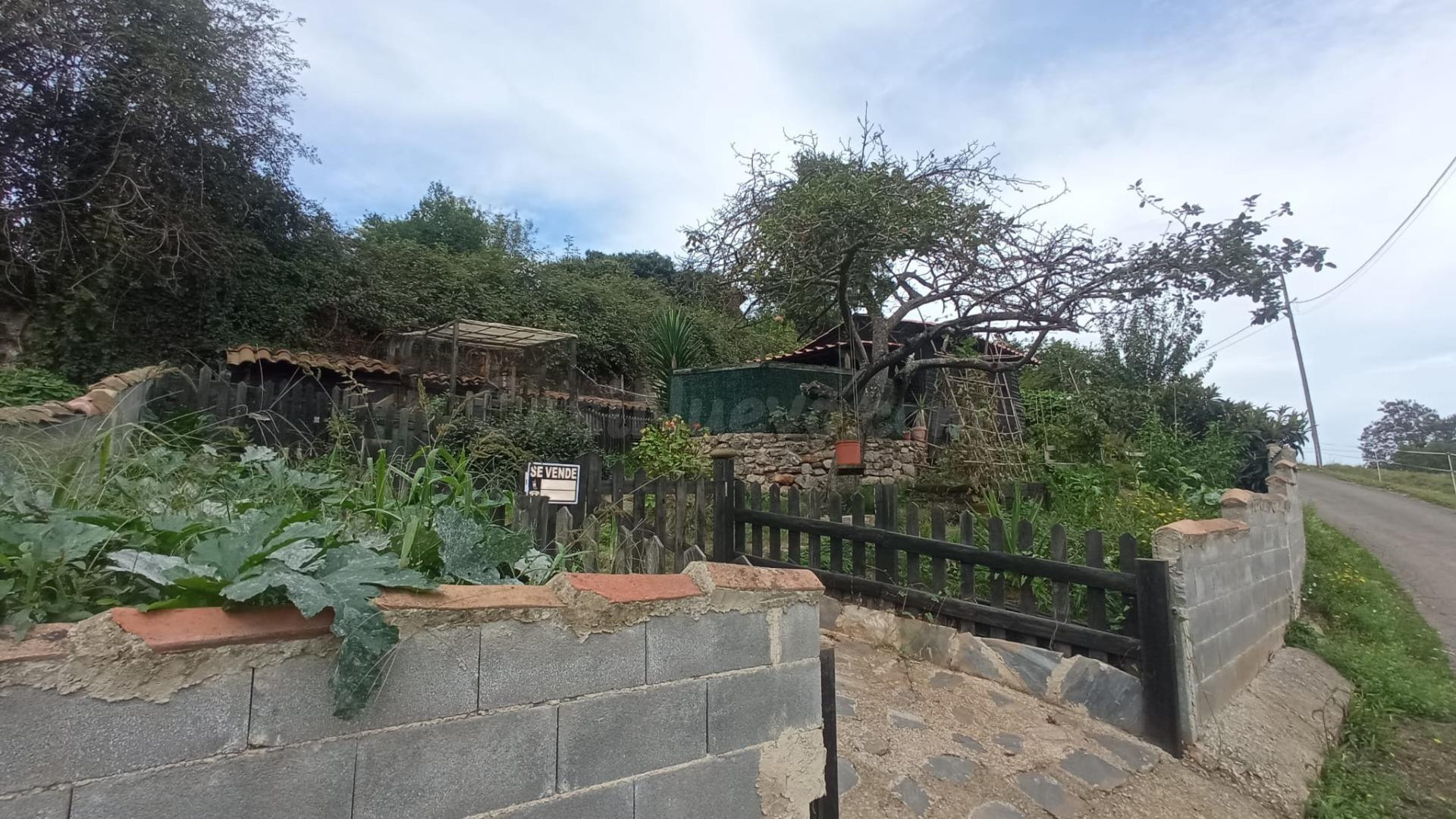 Terreno urbano con cabaña en Oviedo