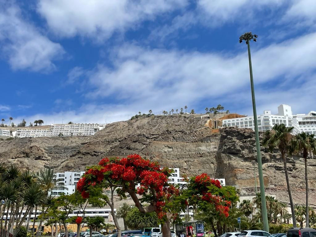 Terreno en venta, en Amadores, Mogan, Gran Canaria - foto 5