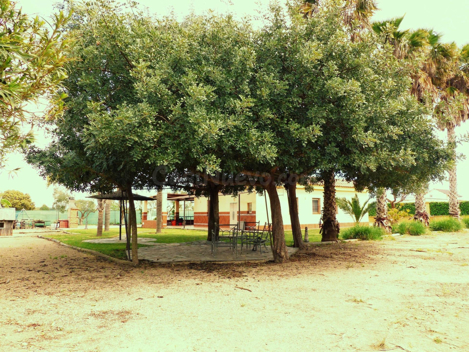¡¡¡PRECIOSA FINCA RÚSTICA DE RECREO CON CASA Y ÁRBOLES FRUTALES!!!