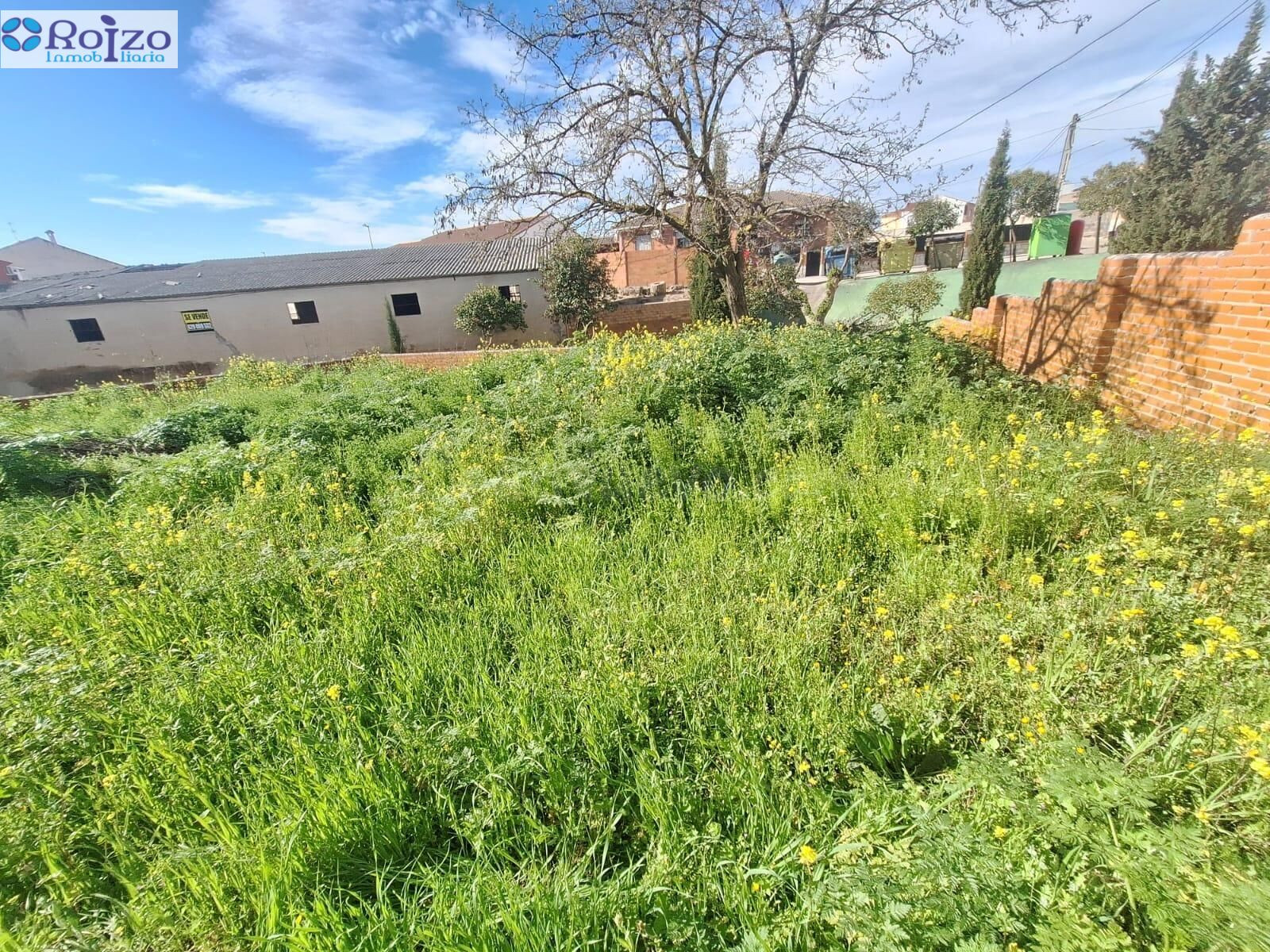 Terreno urbano en venta - Castilla la mancha