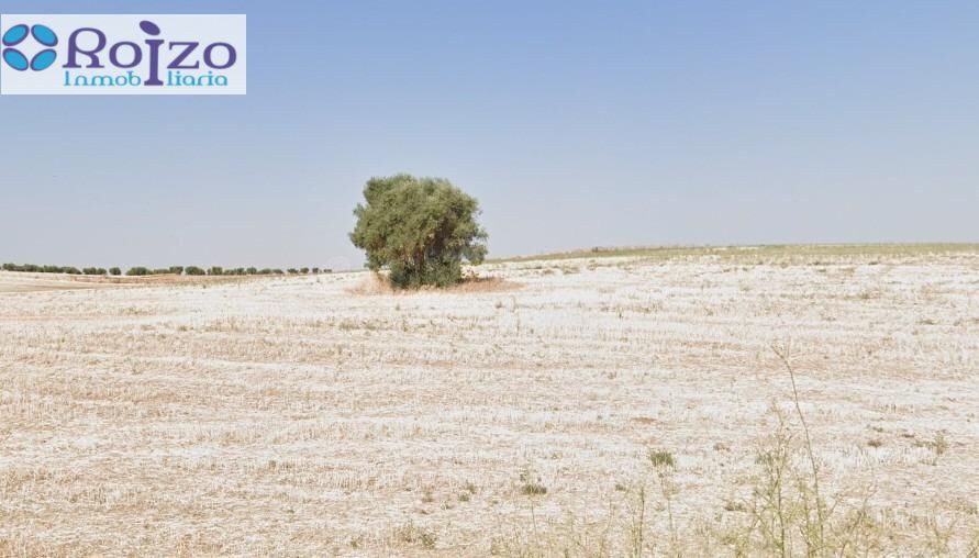 Terreno rural en venta - Castilla la mancha