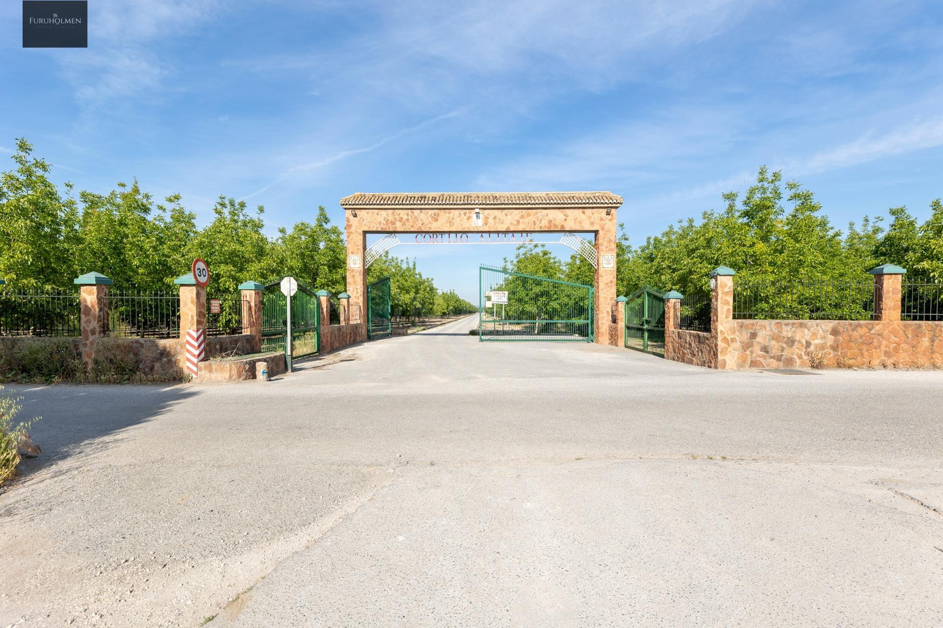 Finca Rústica en Venta – Vega Norte de Granada