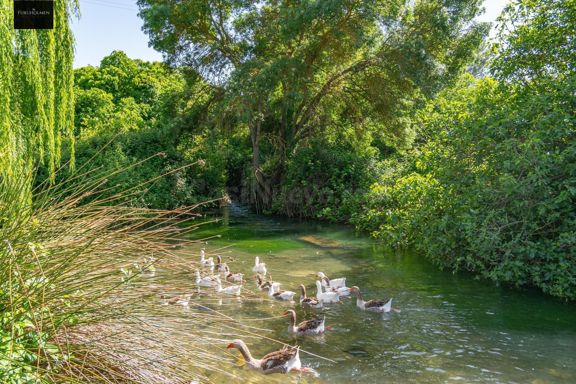 ¿Sueñas con vivir en plena naturaleza, rodeado de tranquilidad y belleza?