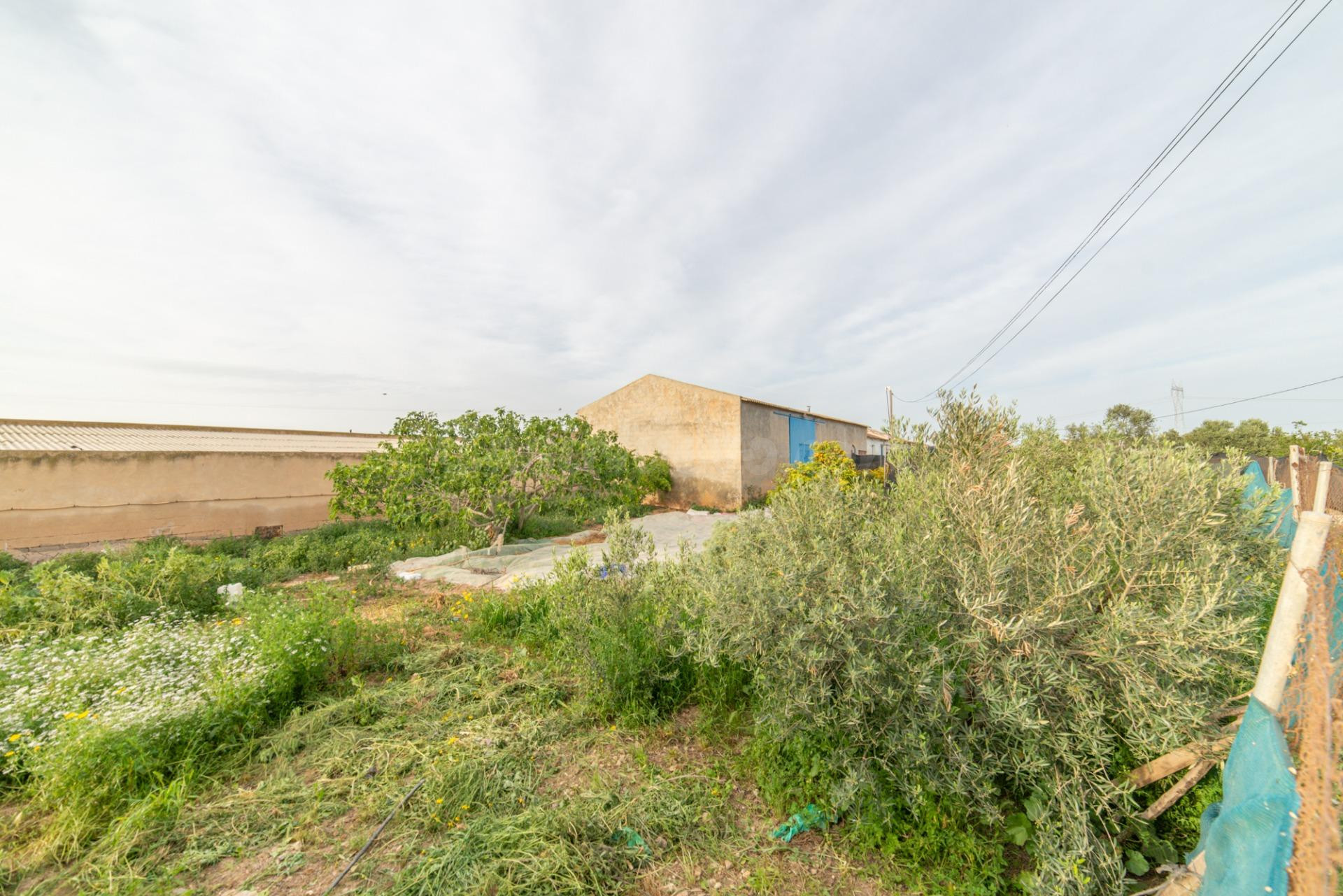 Casa 3 habitaciones 4100m² en venta - Balsicas