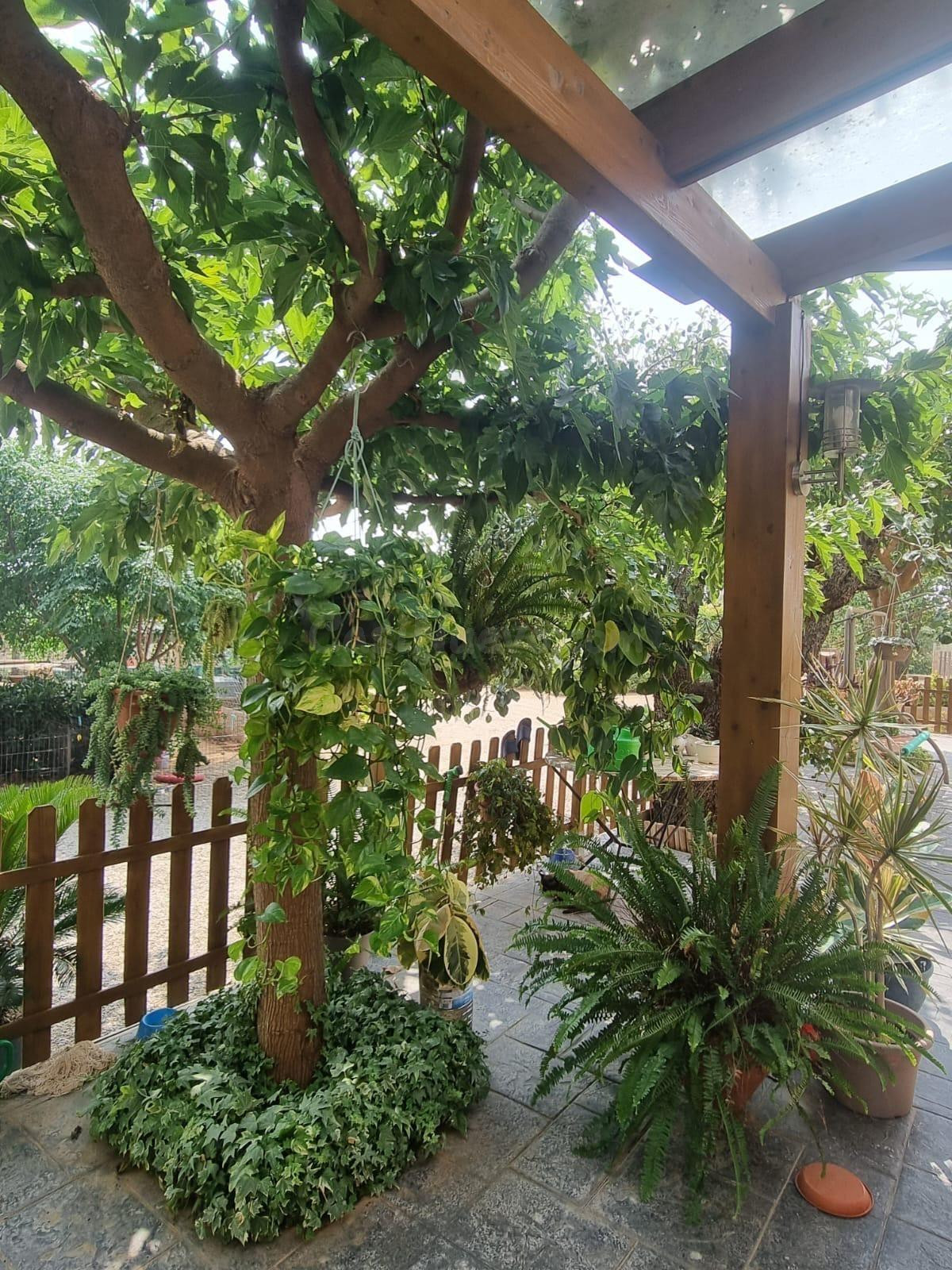 Finca en Reus con vivienda urbana.