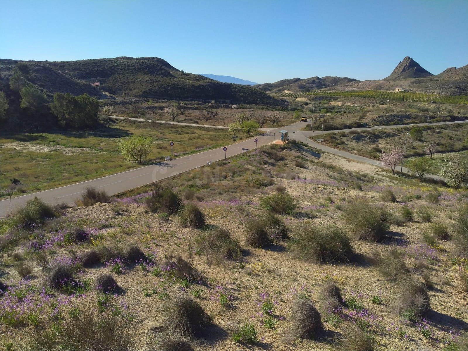 La Hurona – Molina de Segura (Murcia)