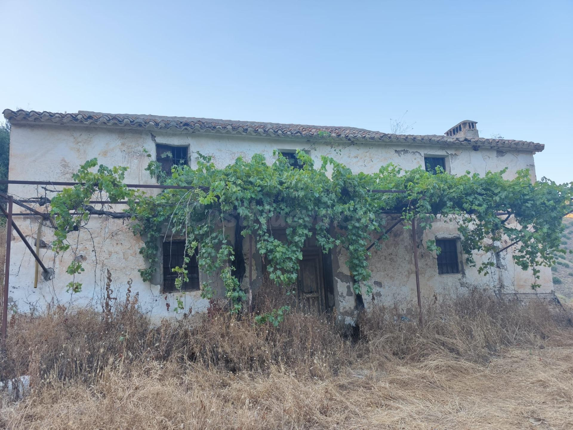 VENTA FINCA CON VIÑEDOS LOS LAGARES