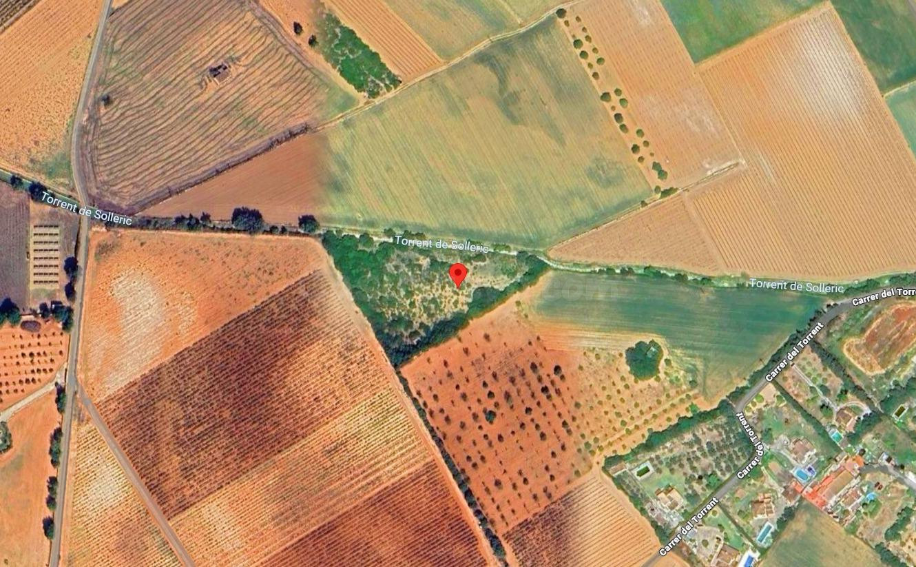 Terreno rústico en Biniali (Sencelles)