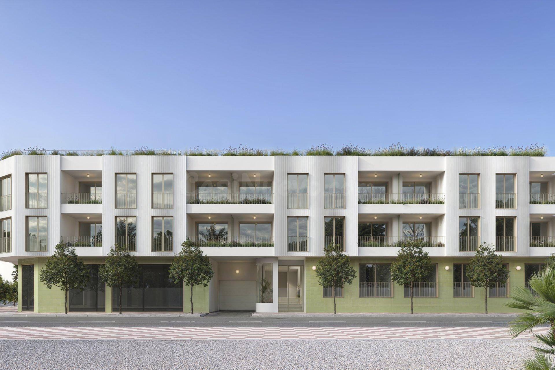GRAN APARTAMENTO EN JACARILLA: 3 HAB, 2 BAÑO