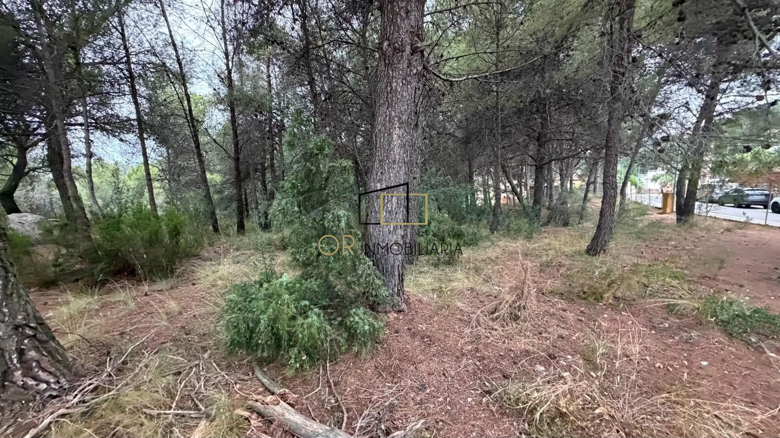 Parcela urbana de 1.294 m2 en Can Coral, Torrelles de Foix