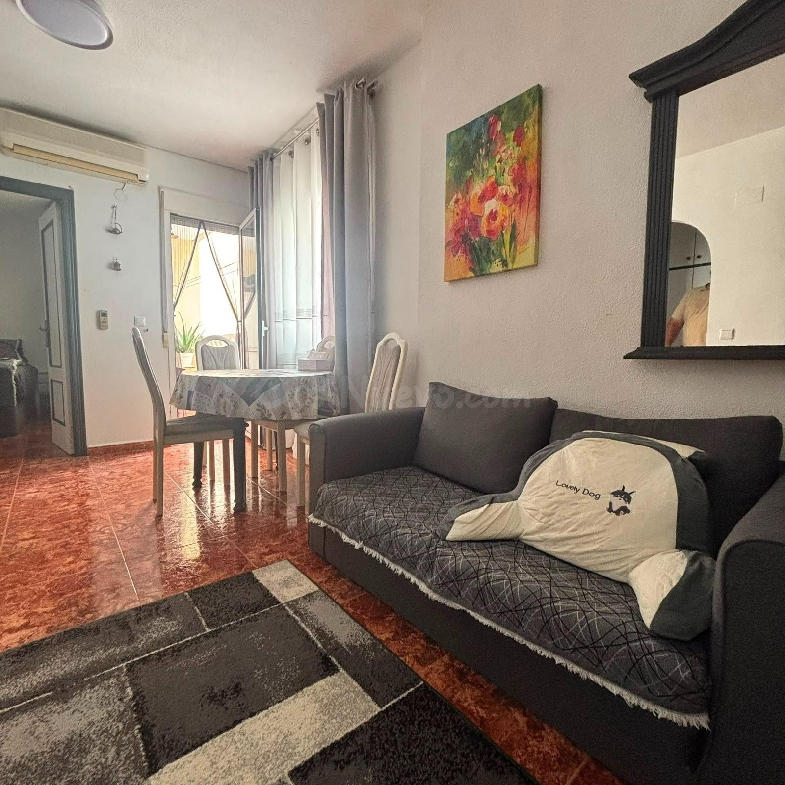 GRAN APARTAMENTO EN TORREVIEJA: 1 HAB, 1 BAÑO