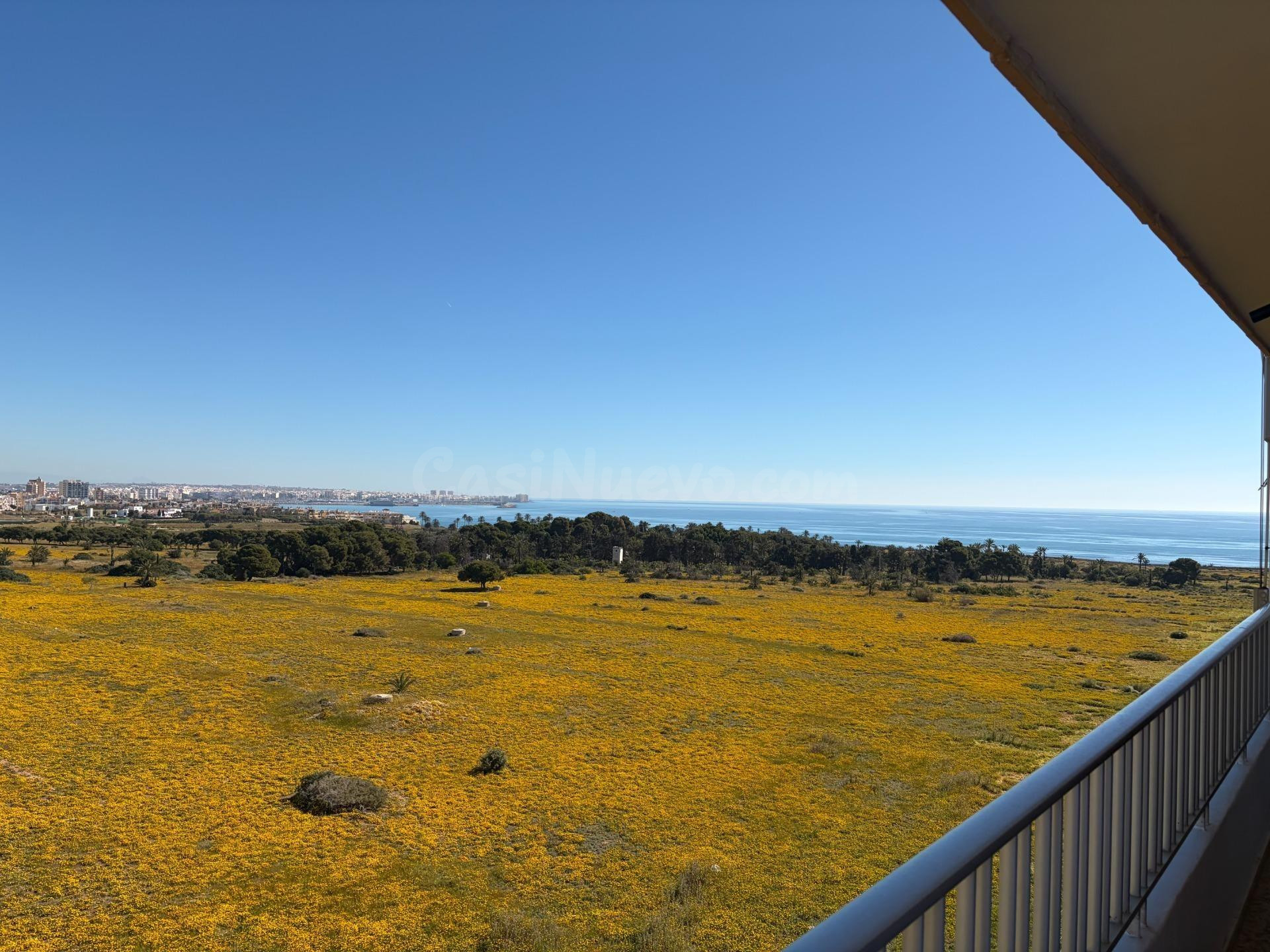 GRAN ÁTICO EN TORREVIEJA: 2 HAB, 1 BAÑO