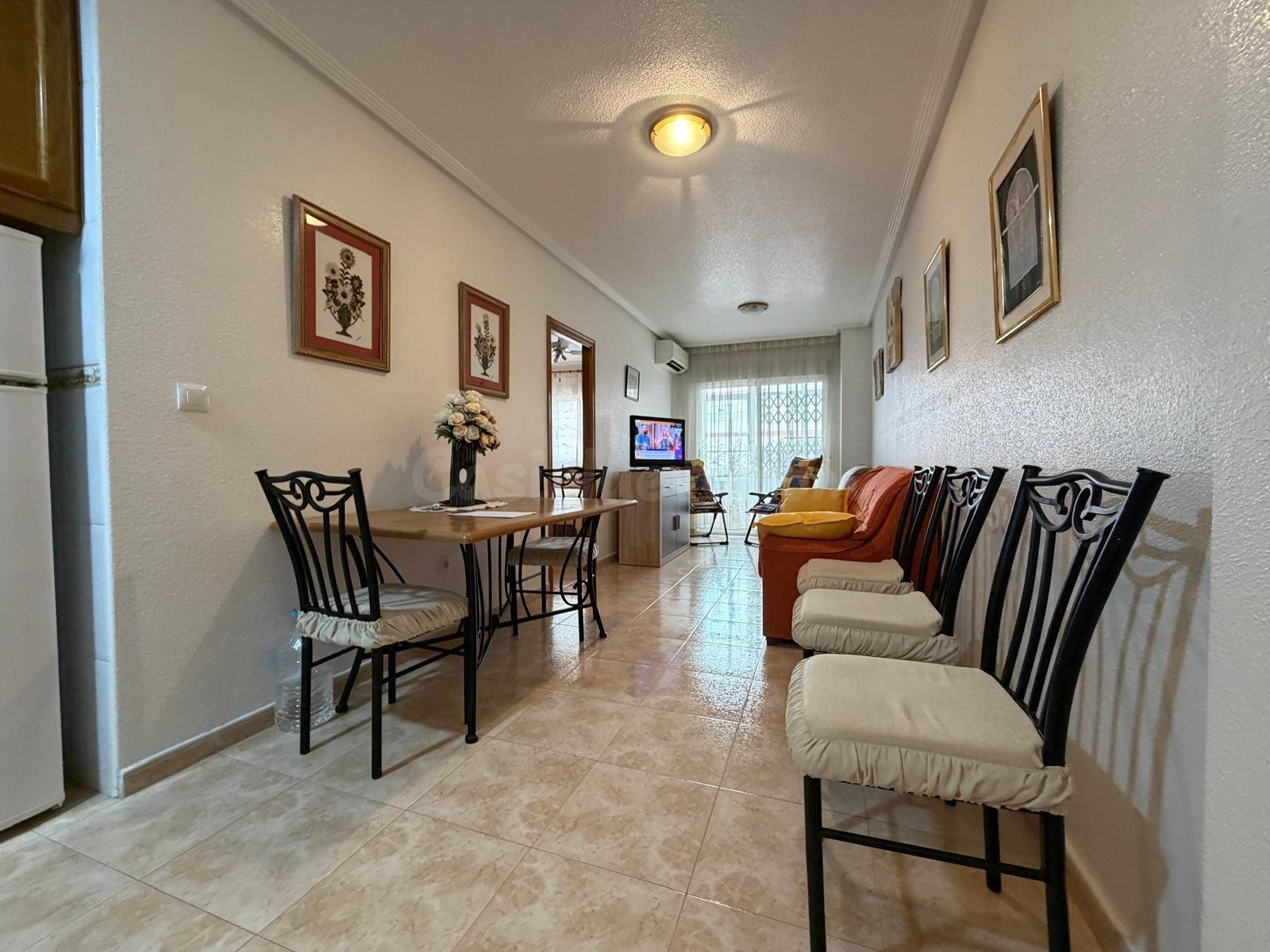 GRAN PLANTA BAJA EN TORREVIEJA: 1 HAB, 1 BAÑO
