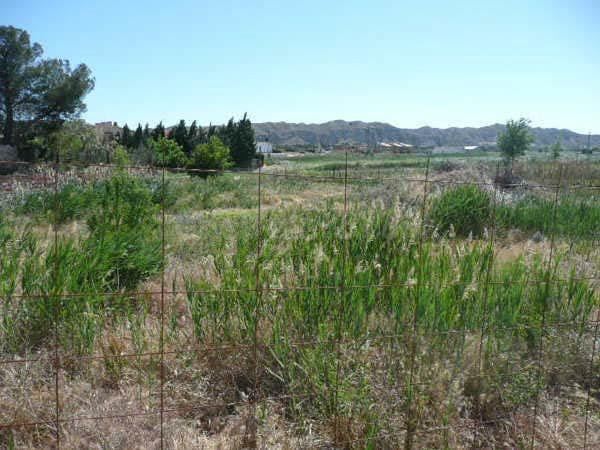 Terreno urbano en venta - Nuez de ebro