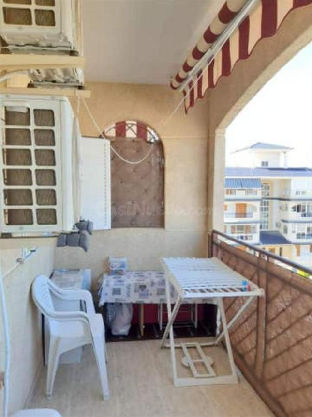 GRAN APARTAMENTO EN TORREVIEJA: 1 HAB, 1 BAÑO