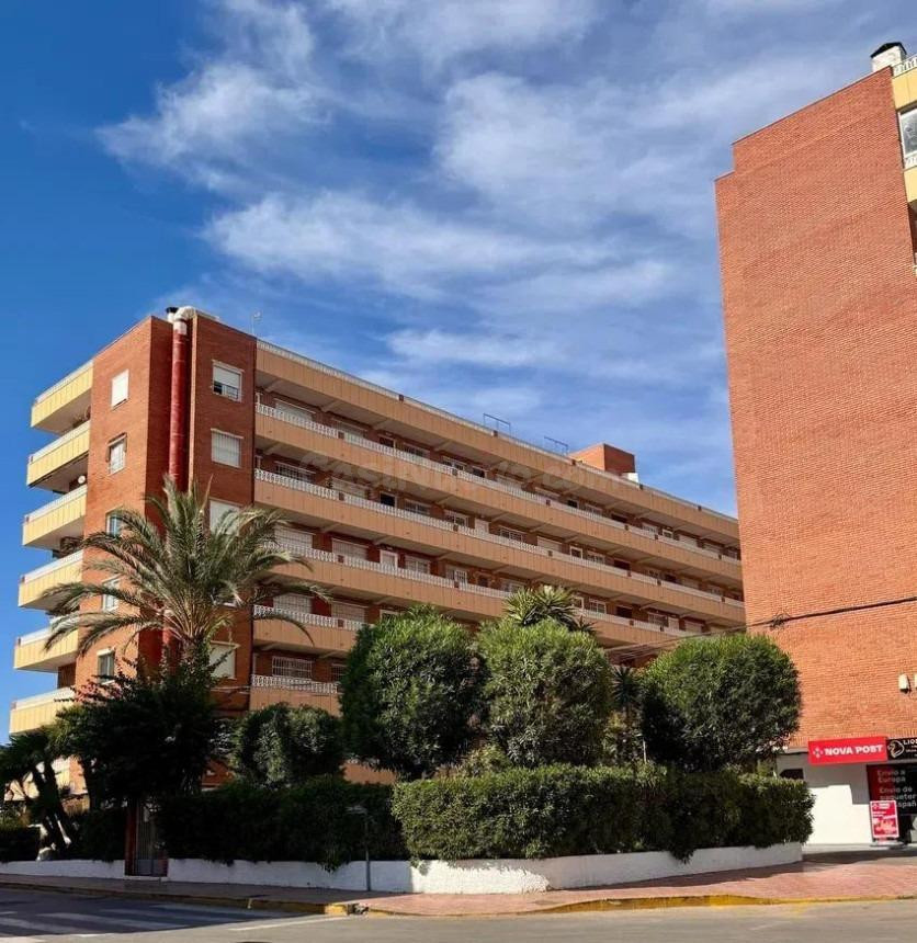 GRAN APARTAMENTO EN TORREVEIJA: 3 HAB, 1 BAÑO