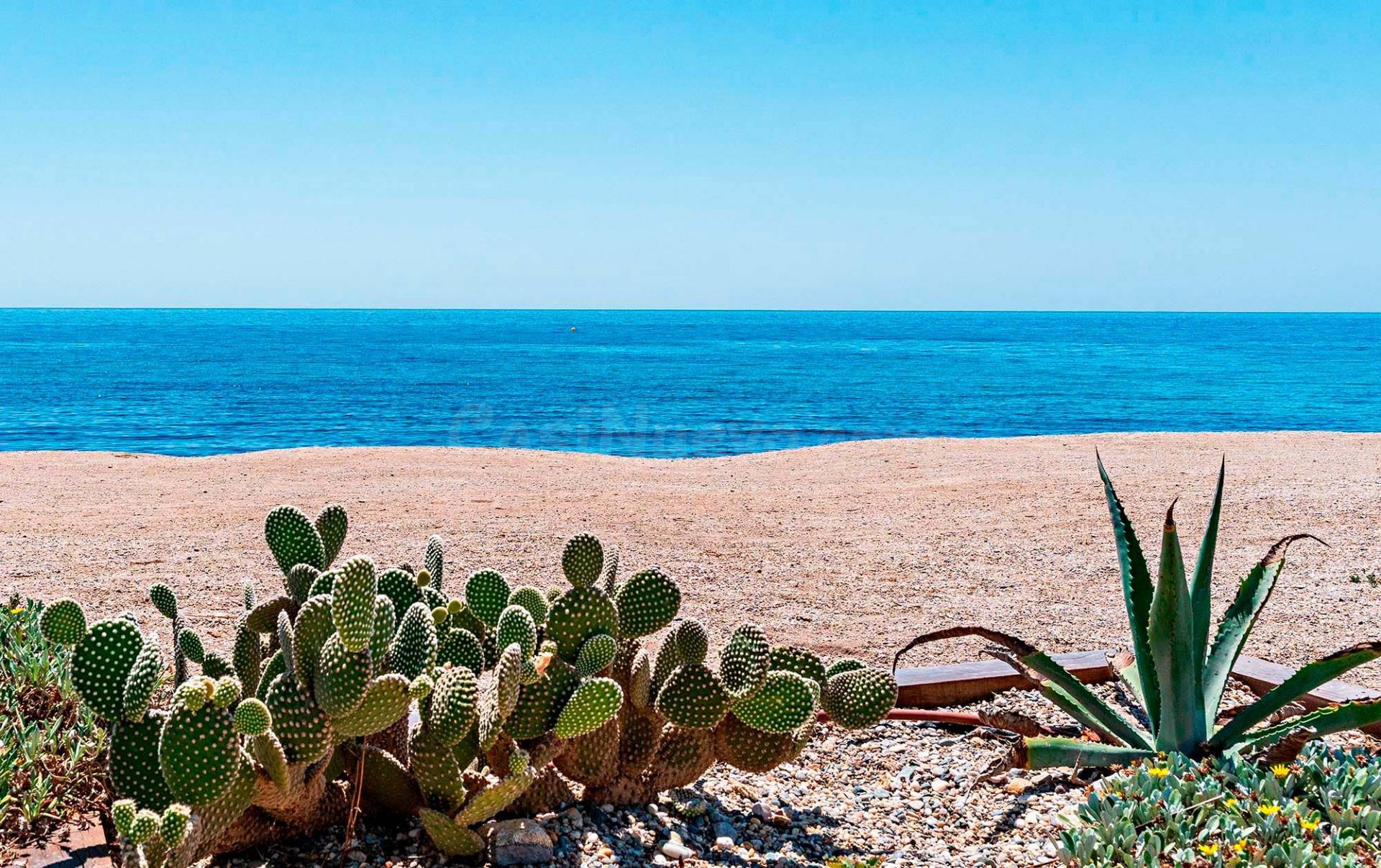 Vivir mirando al mar.  Primera linea de playa.