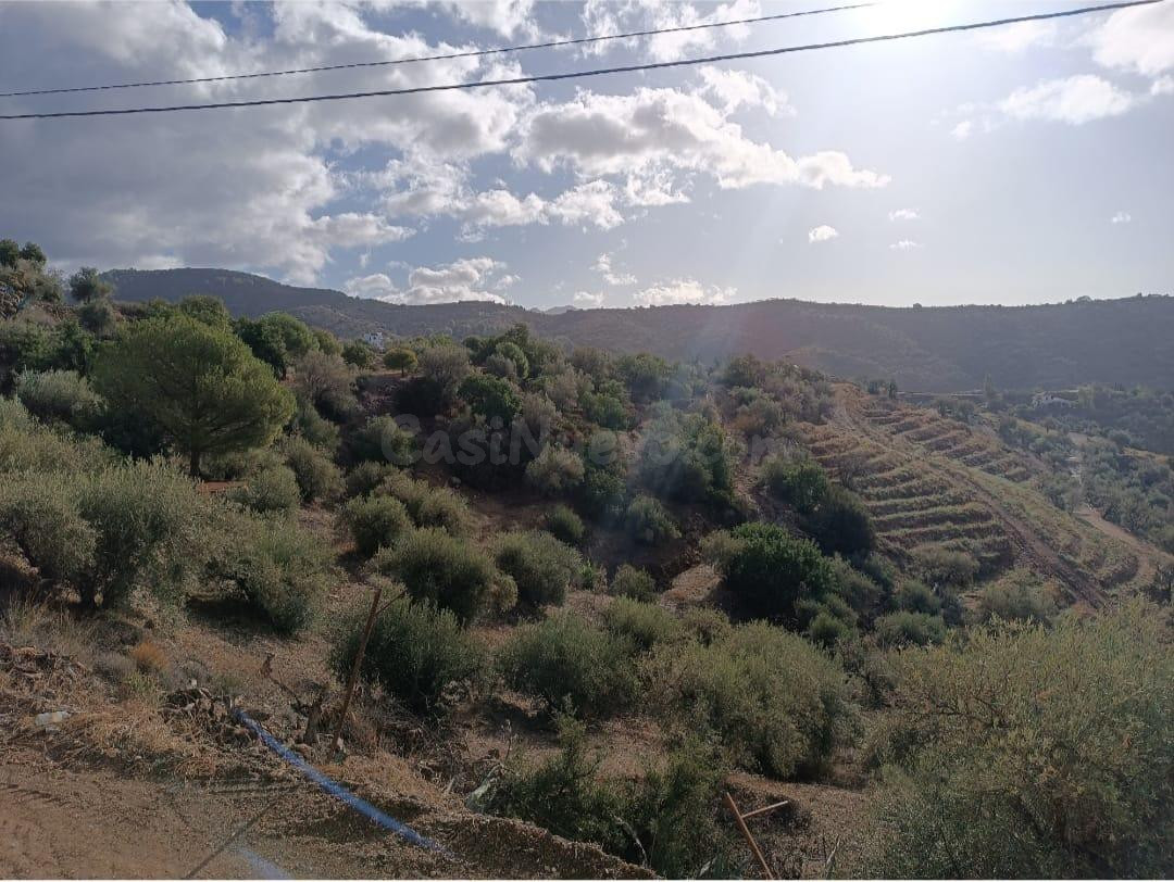 Espectacular terreno en Velez-Màlaga.
