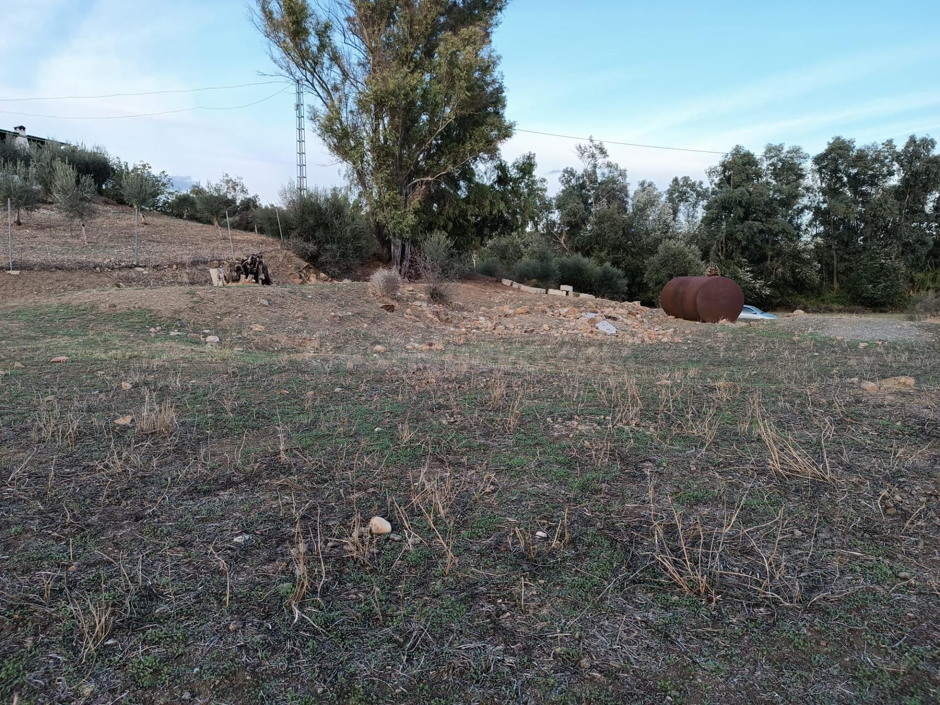 Excelente terreno en Coin.