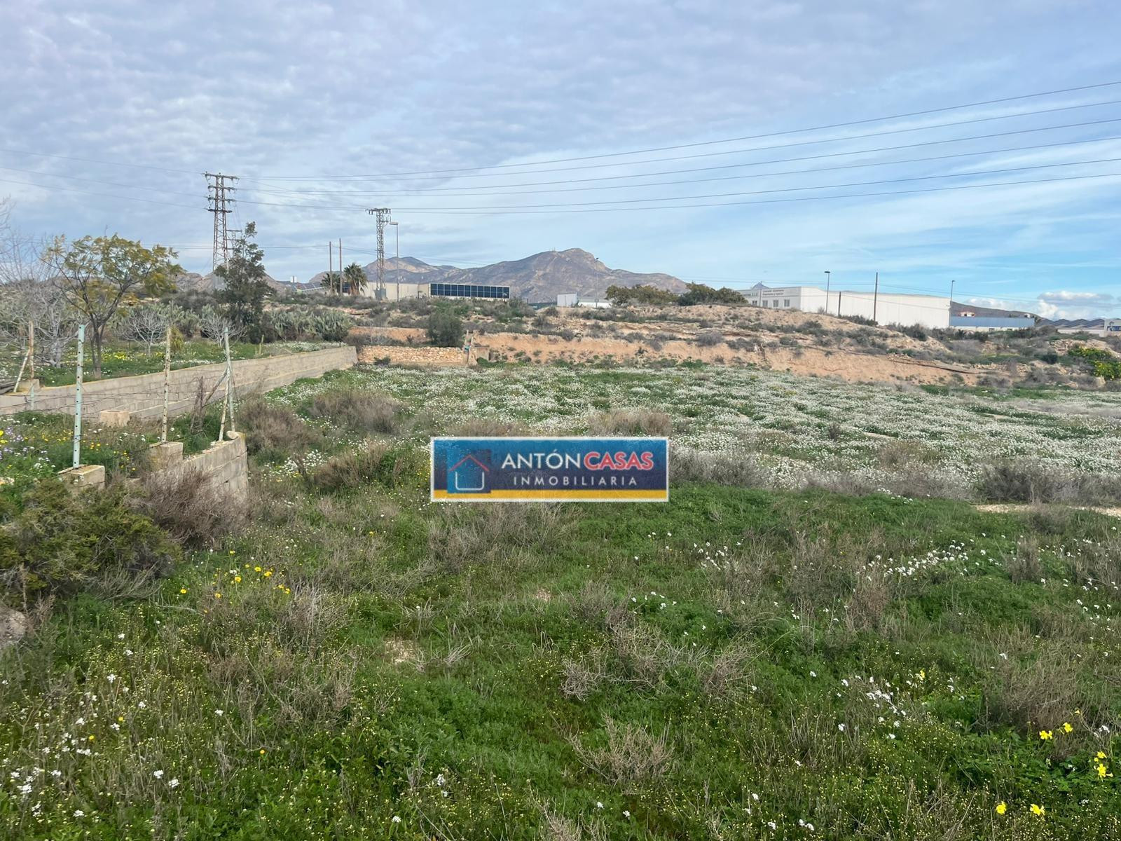 SE VENDE TERRENO RÚSTICO EN NOVELDA – ZONA PARQUE DEL OESTE
