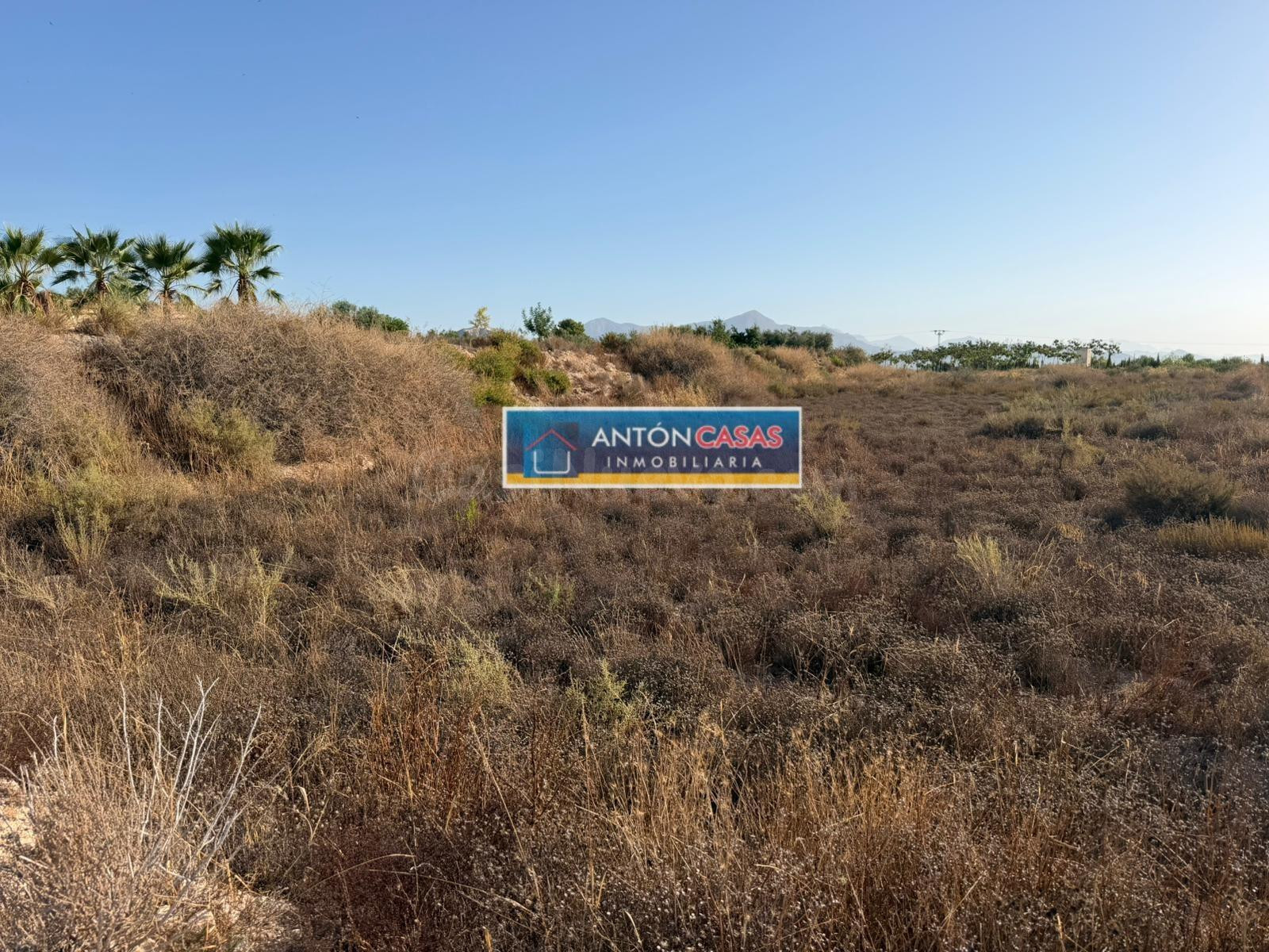 VENTA DE TERRENOS EN HORNA ALTA - NOVELDA