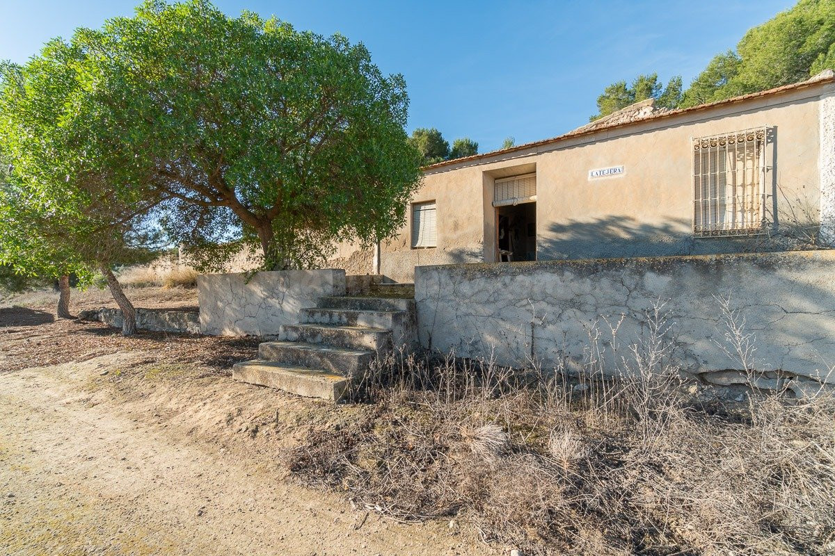 FINCA RUSTICA CON VIVIENDA PARA REHABILITAR EN PILAR DE LA HORADADA