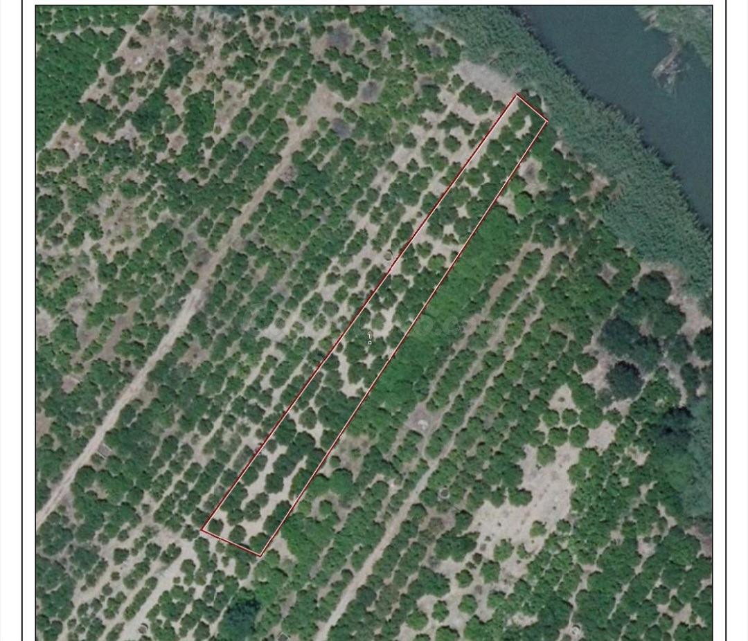 Se venden dos parcelas en terreno rural en Polinya del Xuquer.