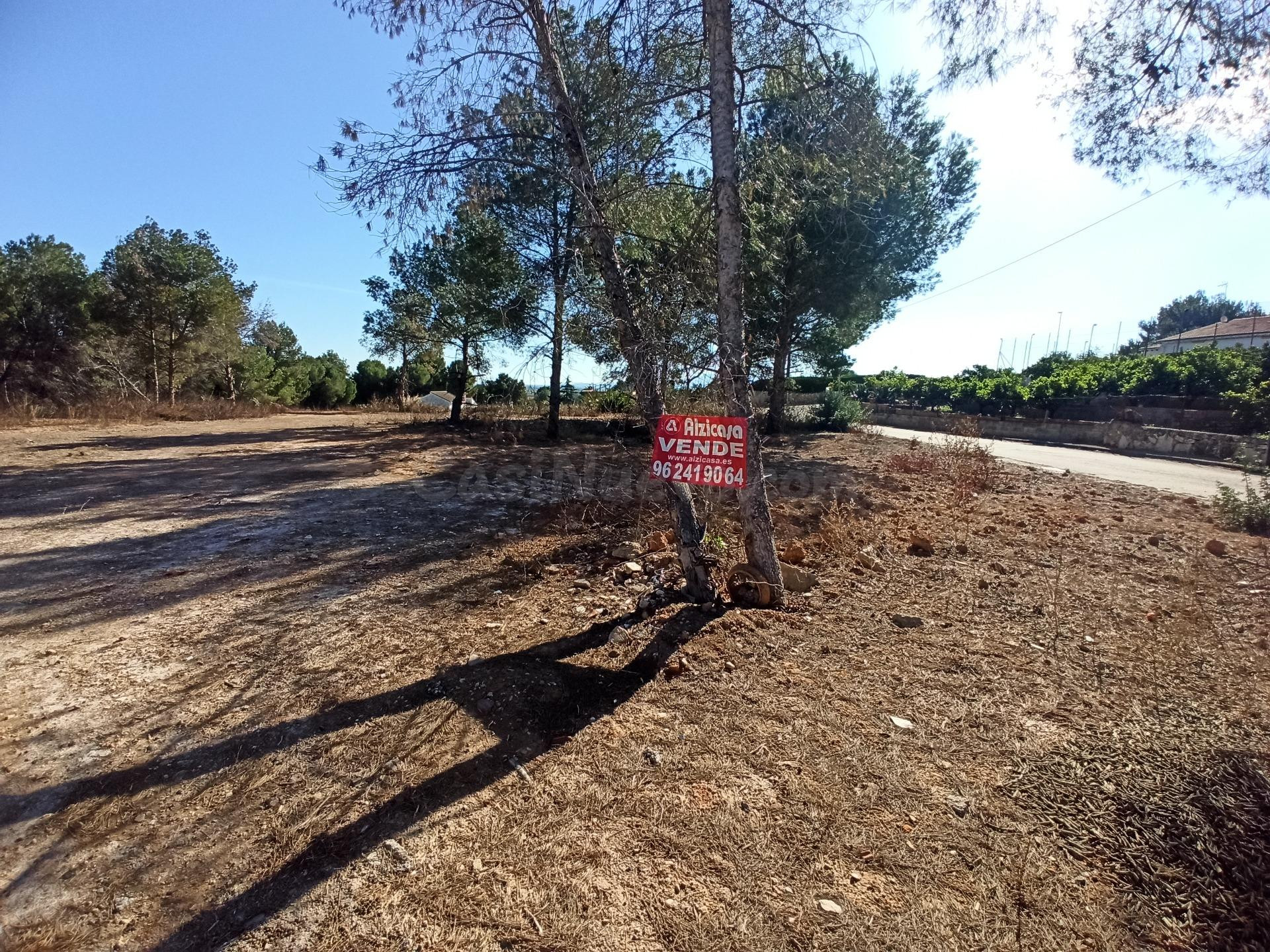 Se vende parcela urbanizable de 3.400m2 en la urbanización de san Cristóbal ( Alberic)