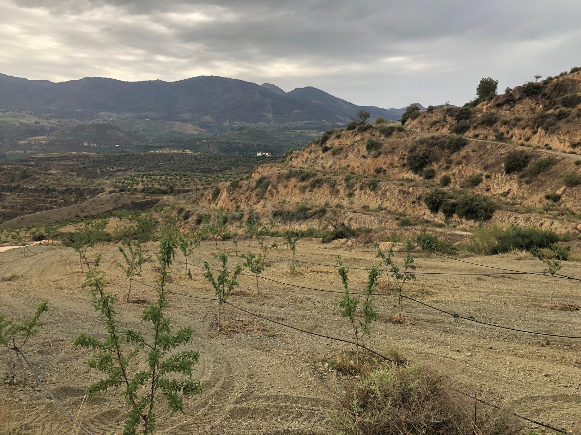 Finca Agrícola en venta - Restabal