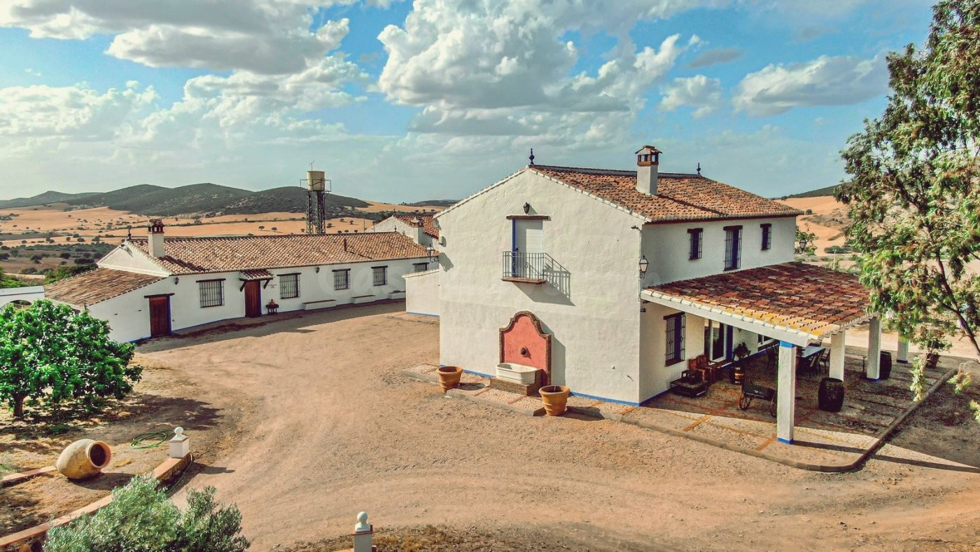 Venta de finca cinegética y agrícola en Ciudad Real