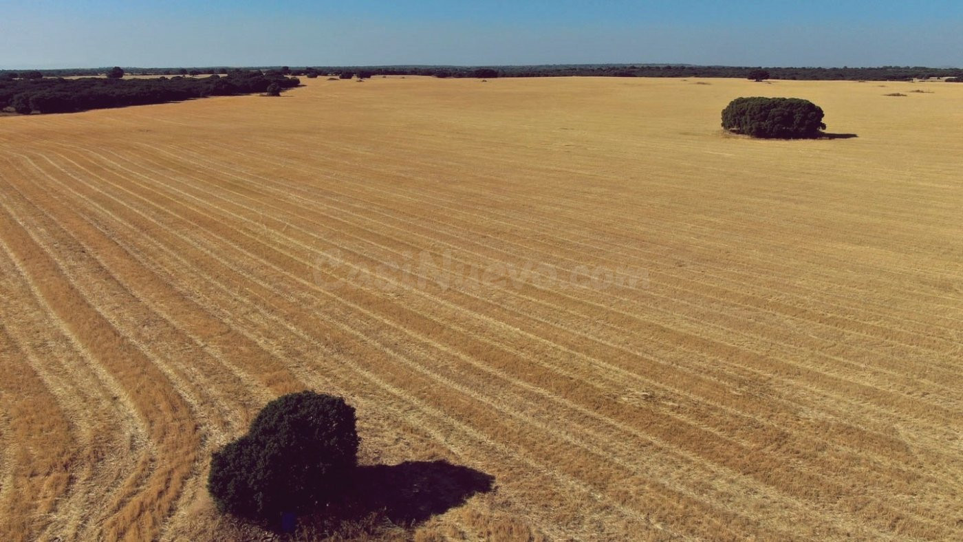 Venta de finca agropecuaria en la provincia de Ciudad Real - foto 2
