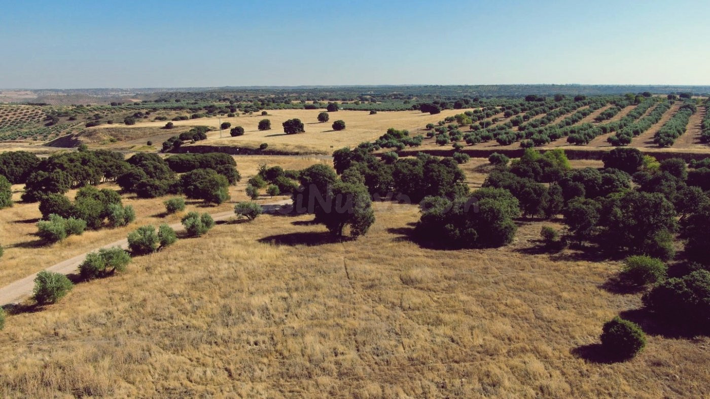 Venta de finca agropecuaria en la provincia de Ciudad Real - foto 3