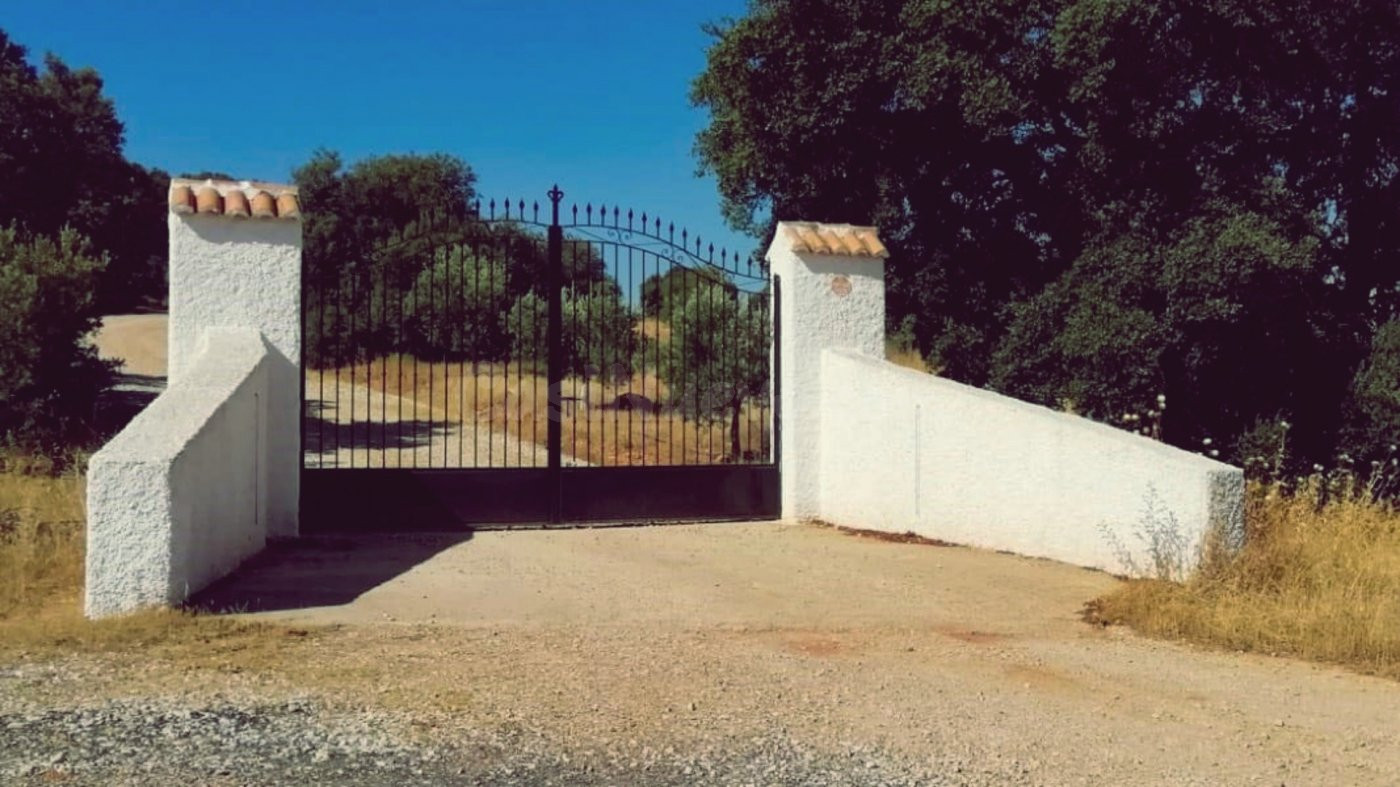 Venta de finca agropecuaria en la provincia de Ciudad Real - foto 4