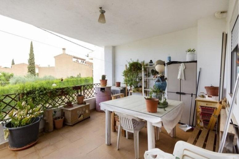 CASA CON NEGOCIO EN PADUL