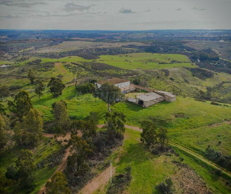 En venta finca con regadío, ganadera y con coto de caza en C