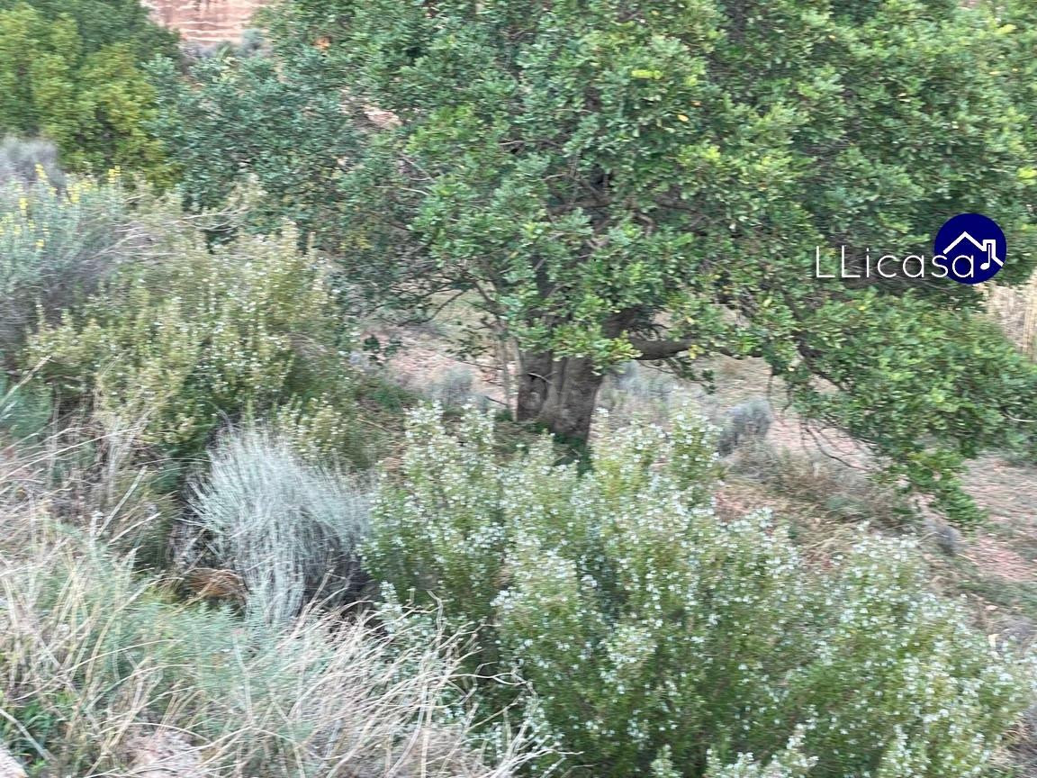 Parcela en venta - Olocau