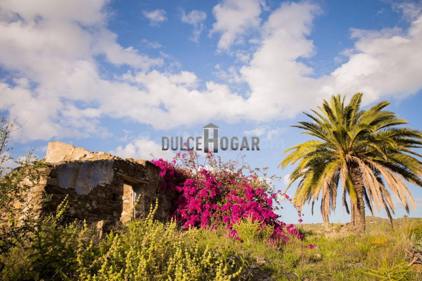¡BAJADA DE PRECIO! ¡¡MAGNÍFICA FINCA RÚSTICA DE 45.408 METROS EN PLENA NATURALEZA  A 4 KILÓMETROS DE LA LOCALIDAD DE RINCÓN Y DE LA PLAYA!!