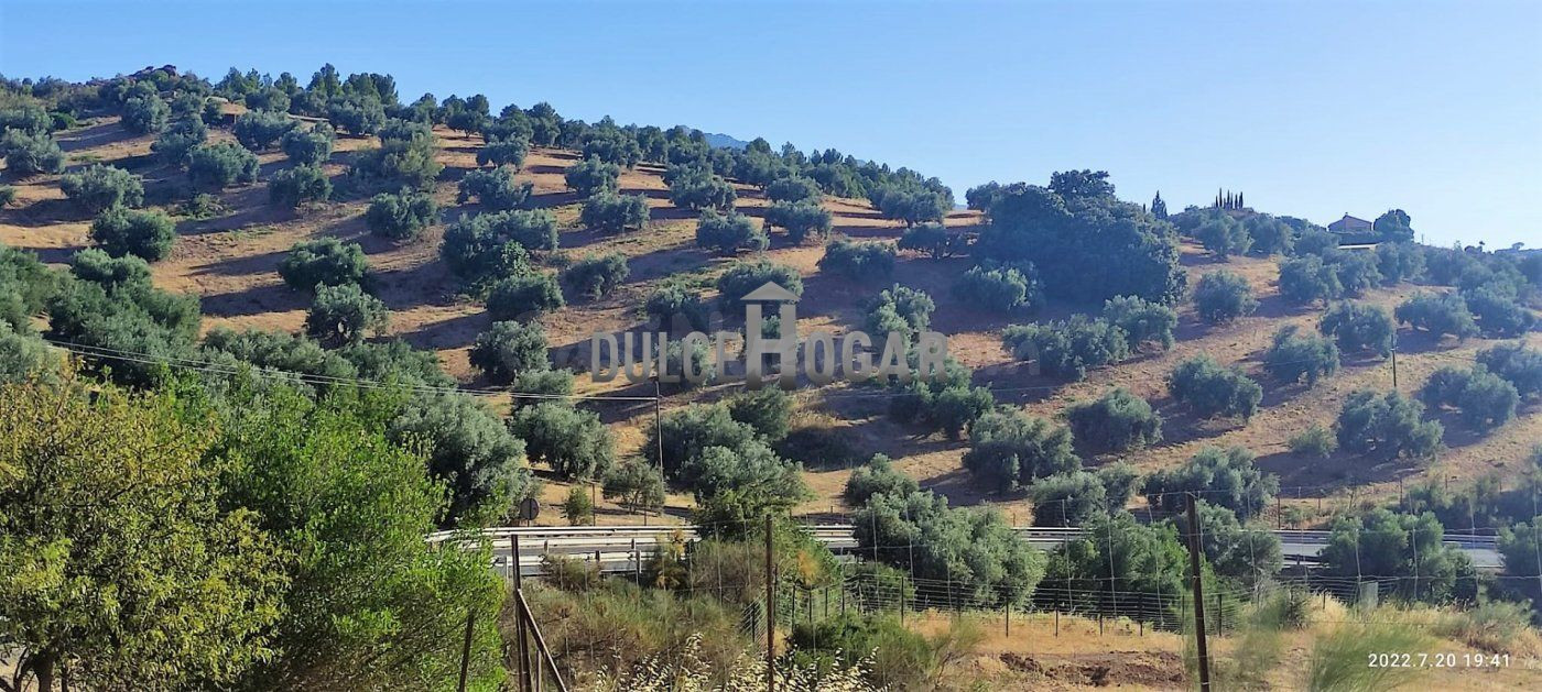 MAGNÍFICA FINCA RÚSTICA CON DOS VIVIENDAS Y OLIVARES EN LA MEJOR ZONA DE ANTEQUERA!