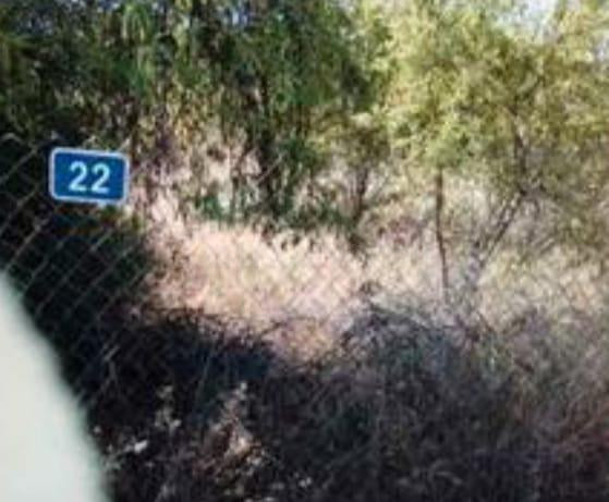 Parcela en venta - EL PINAR