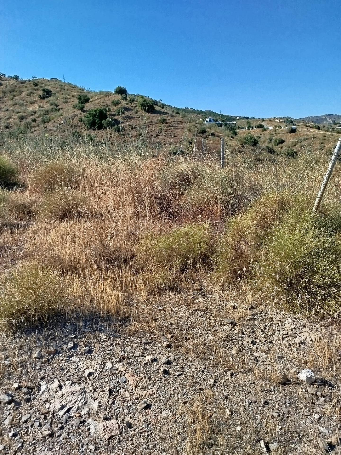 BONITA PARCELA URBANA 720 M2 EN RINCÓN DE LA VICTORIA - foto 4