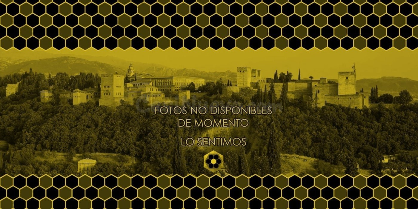 EST/ Piso de TRES dormitorios, zona Zaidin