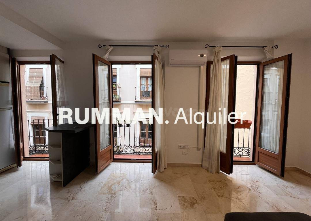 LT/ Dúplex SIN MUEBLES de DOS dormitorios, zona Catedral