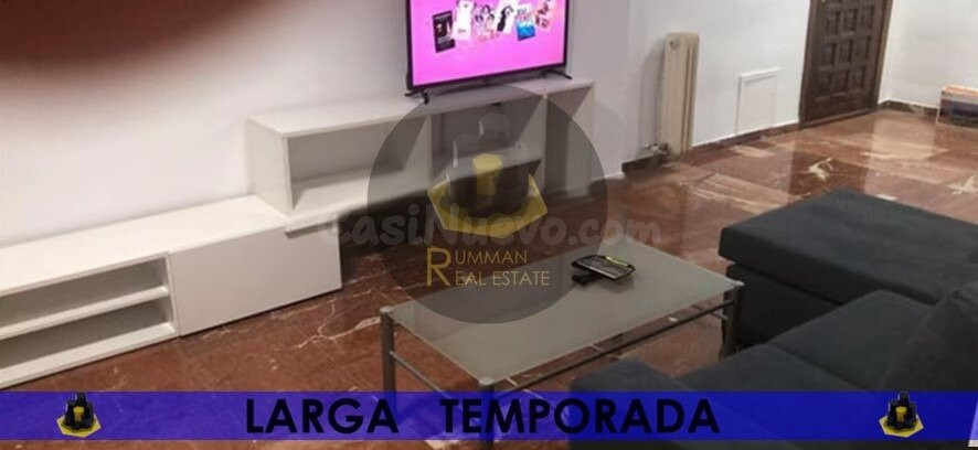 LT/ Apartamento amueblado con UN dormitorio en zona Gran Capitán