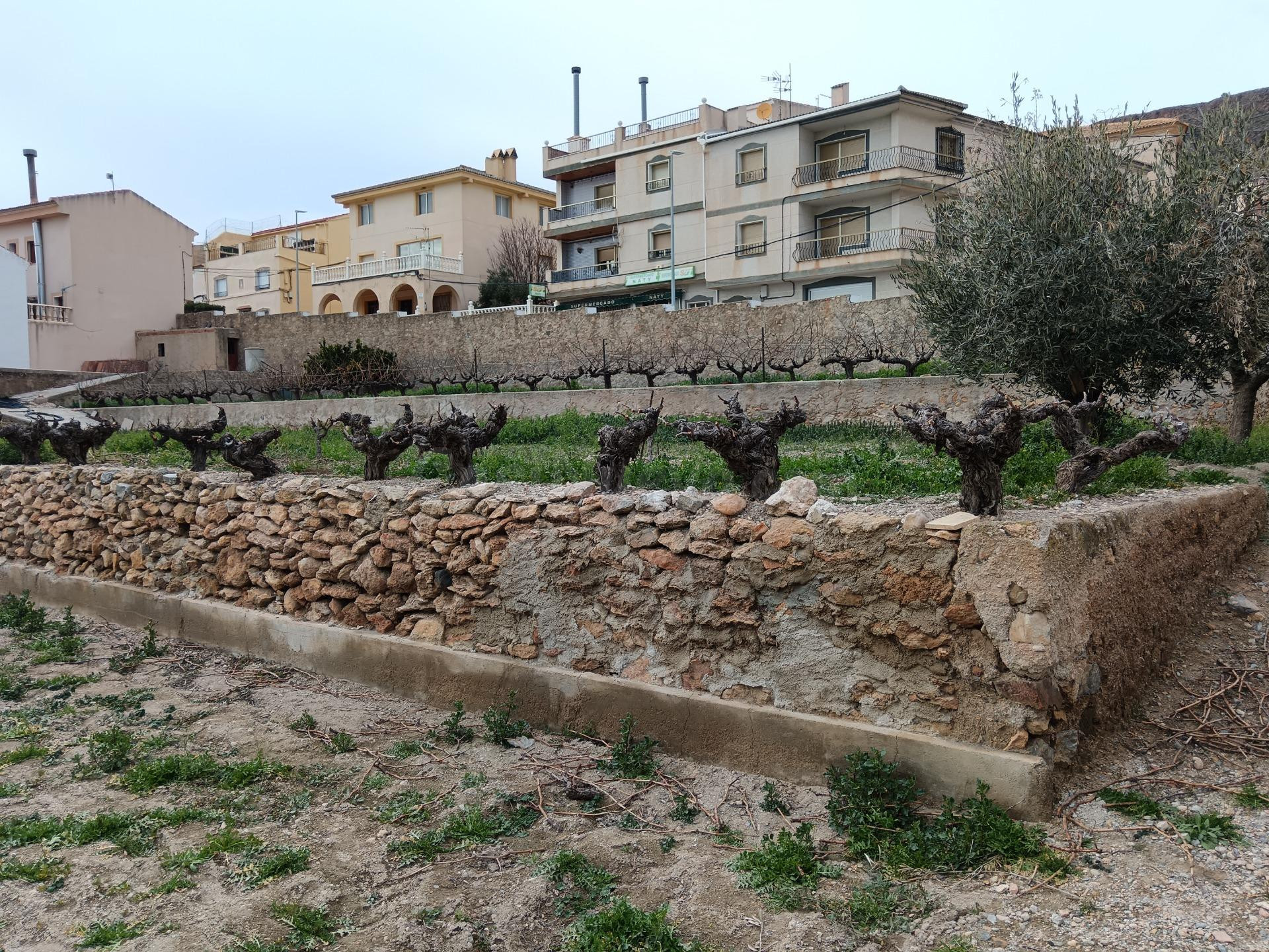 Oportunidad única en Oría (Almería)
